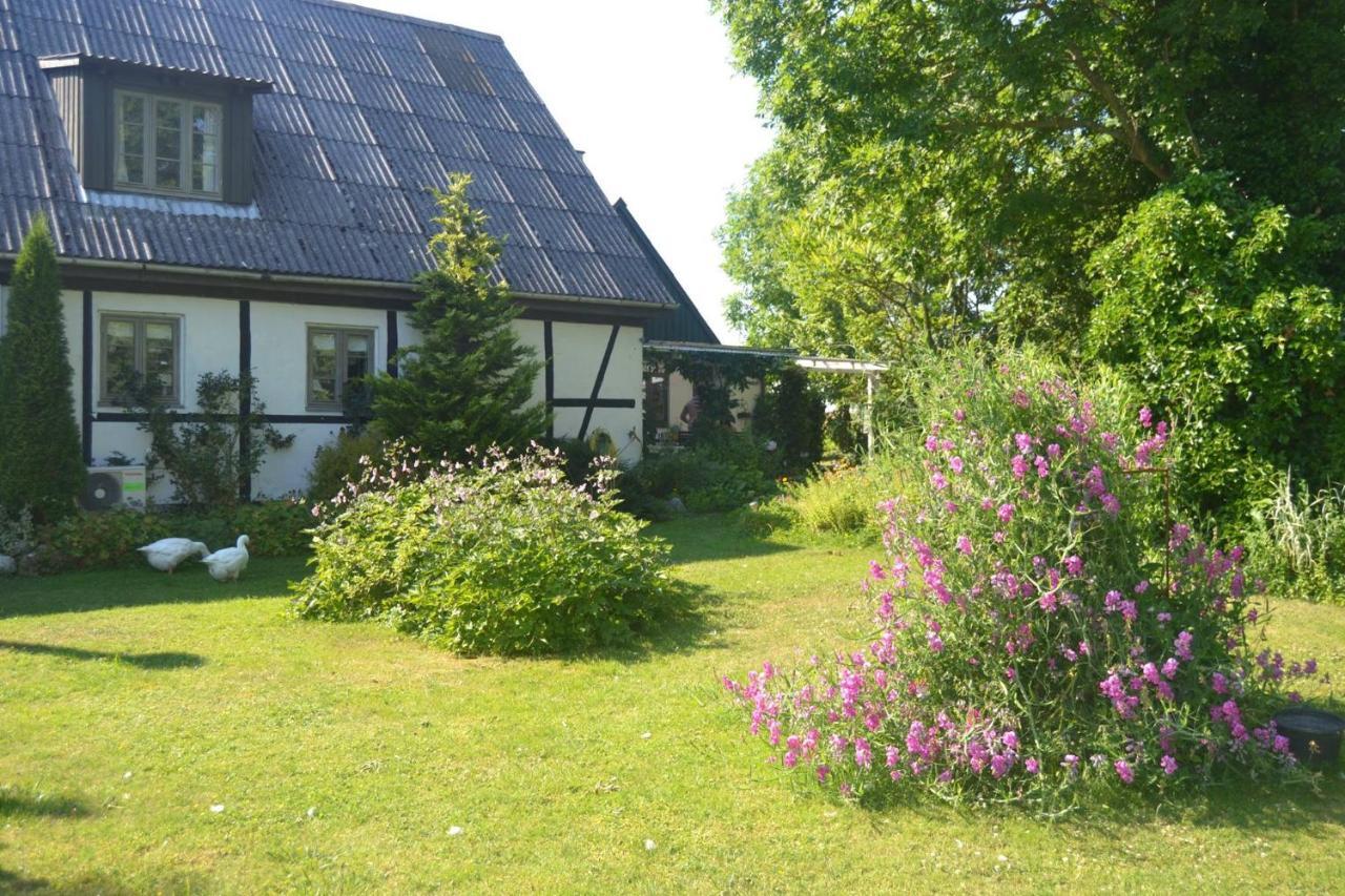 Byens Rareste B&B Harlev  Exterior photo